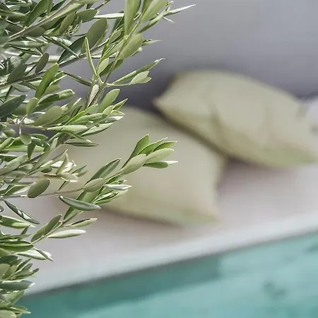 Duomo-retreat Yourself With Style & Keep Memories Villa *